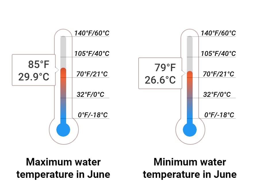 Average Sea temperature